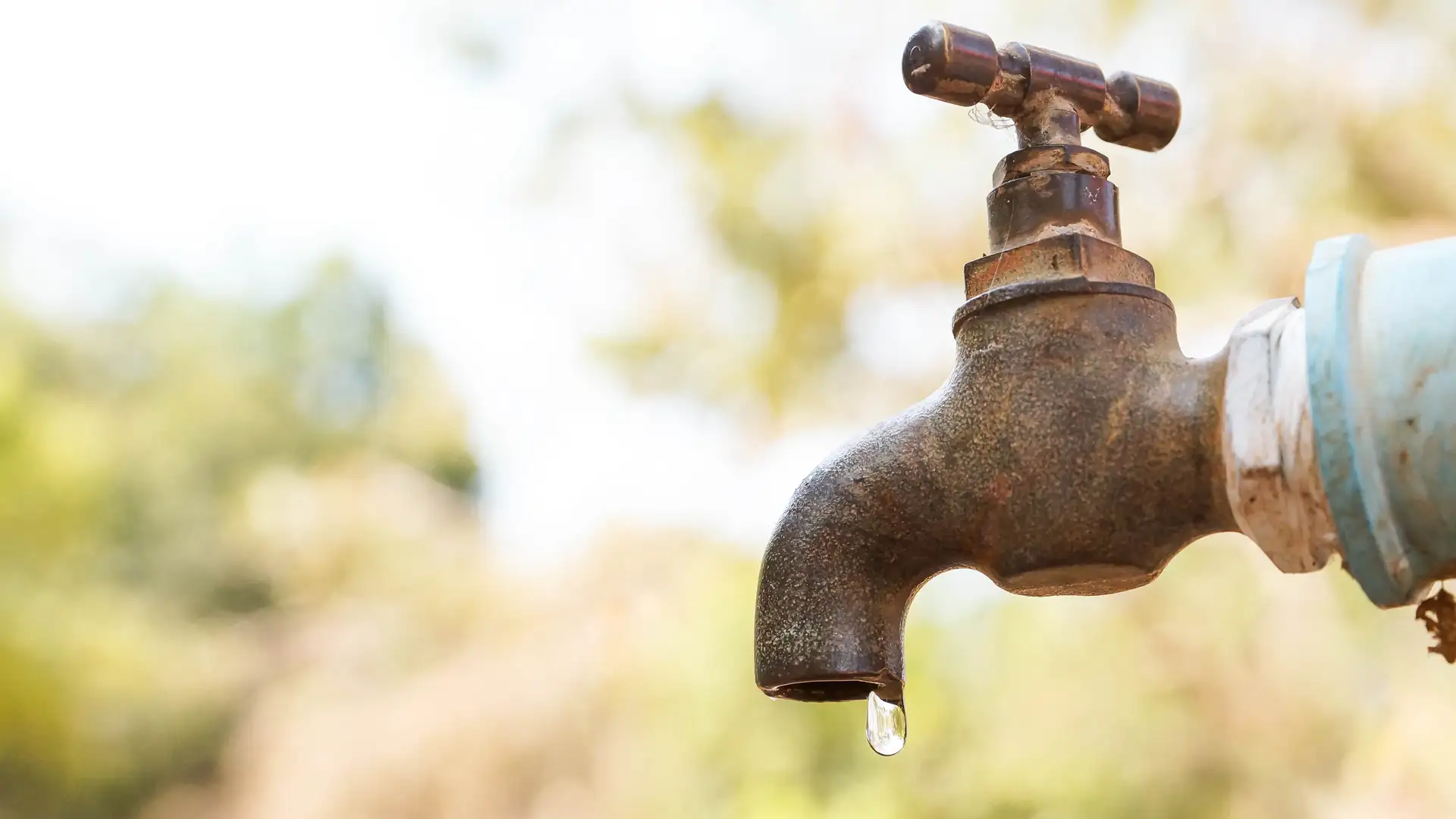 Why We Take Water for Granted – But Really Shouldn’t.