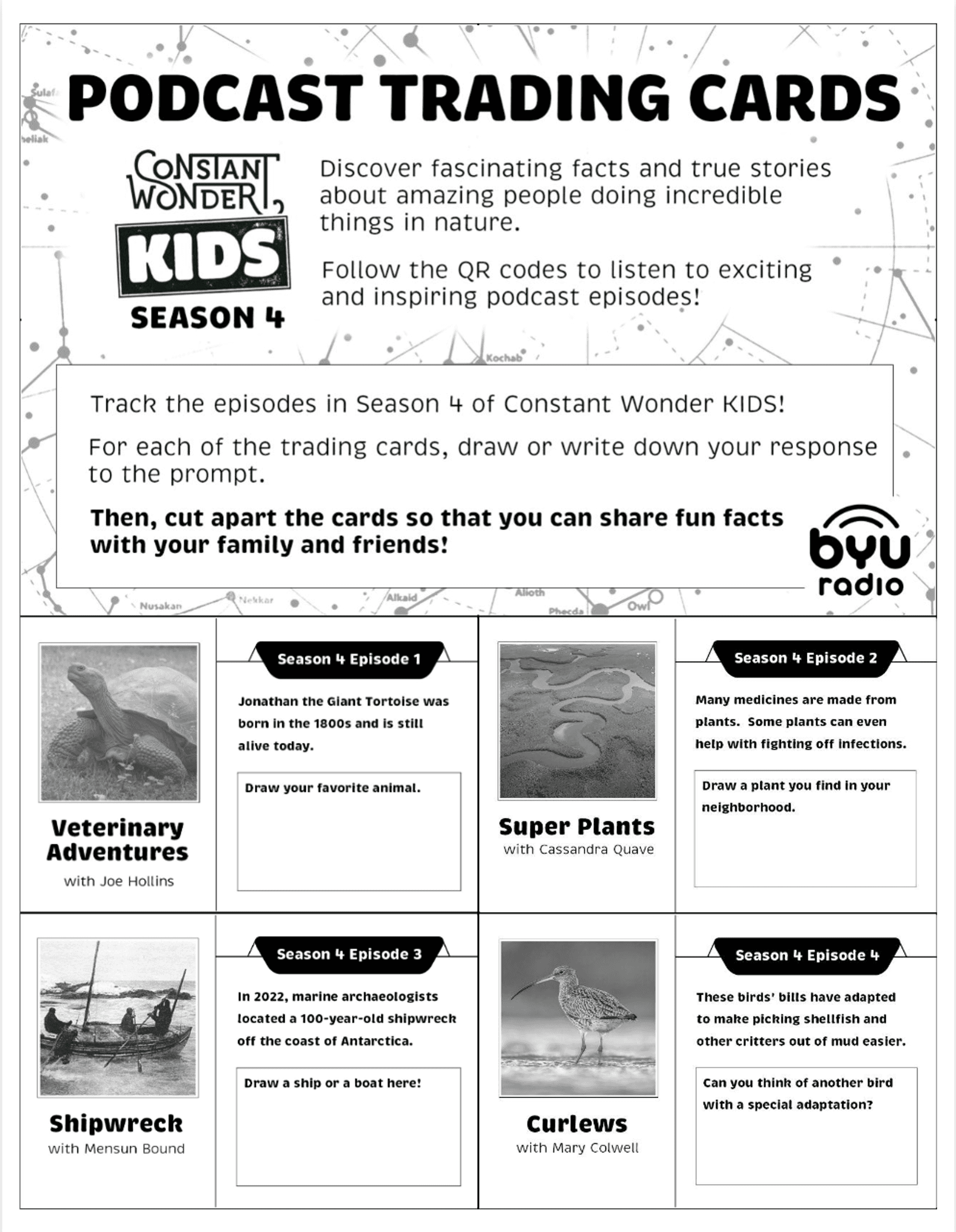 TRADING CARD PRINTABLE