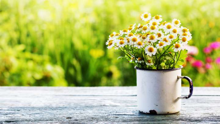 Spring into Spring