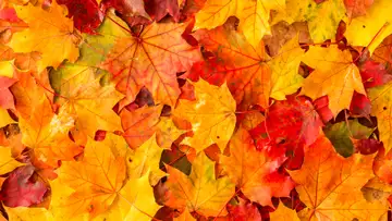 Seasonal Stories Mark Beginnings and Endings