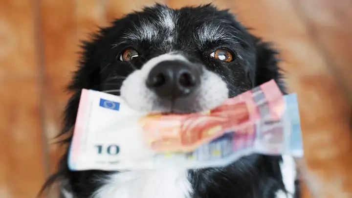 The Dog Who Paid Cash