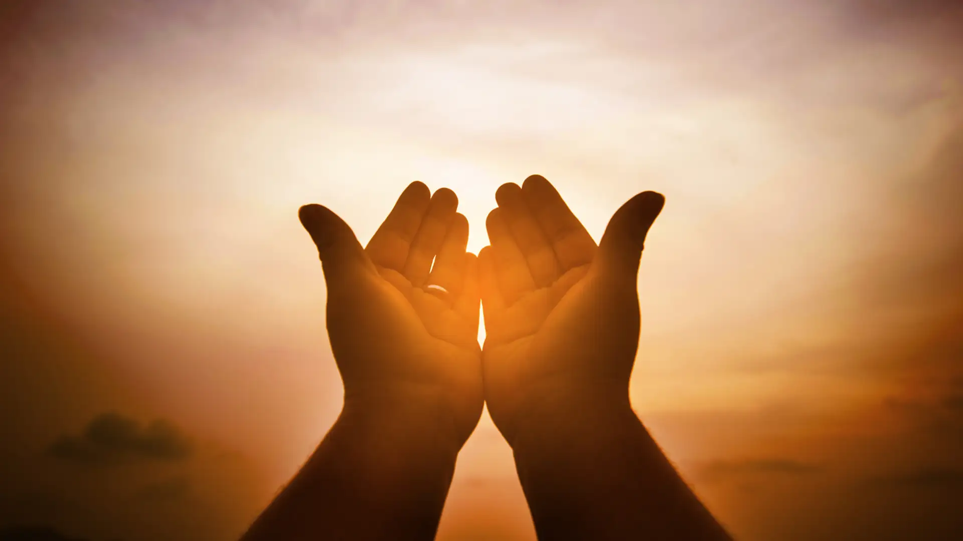 The Year-long Gratitude Challenge