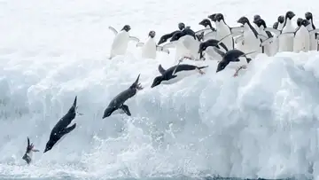 Eternal Migration