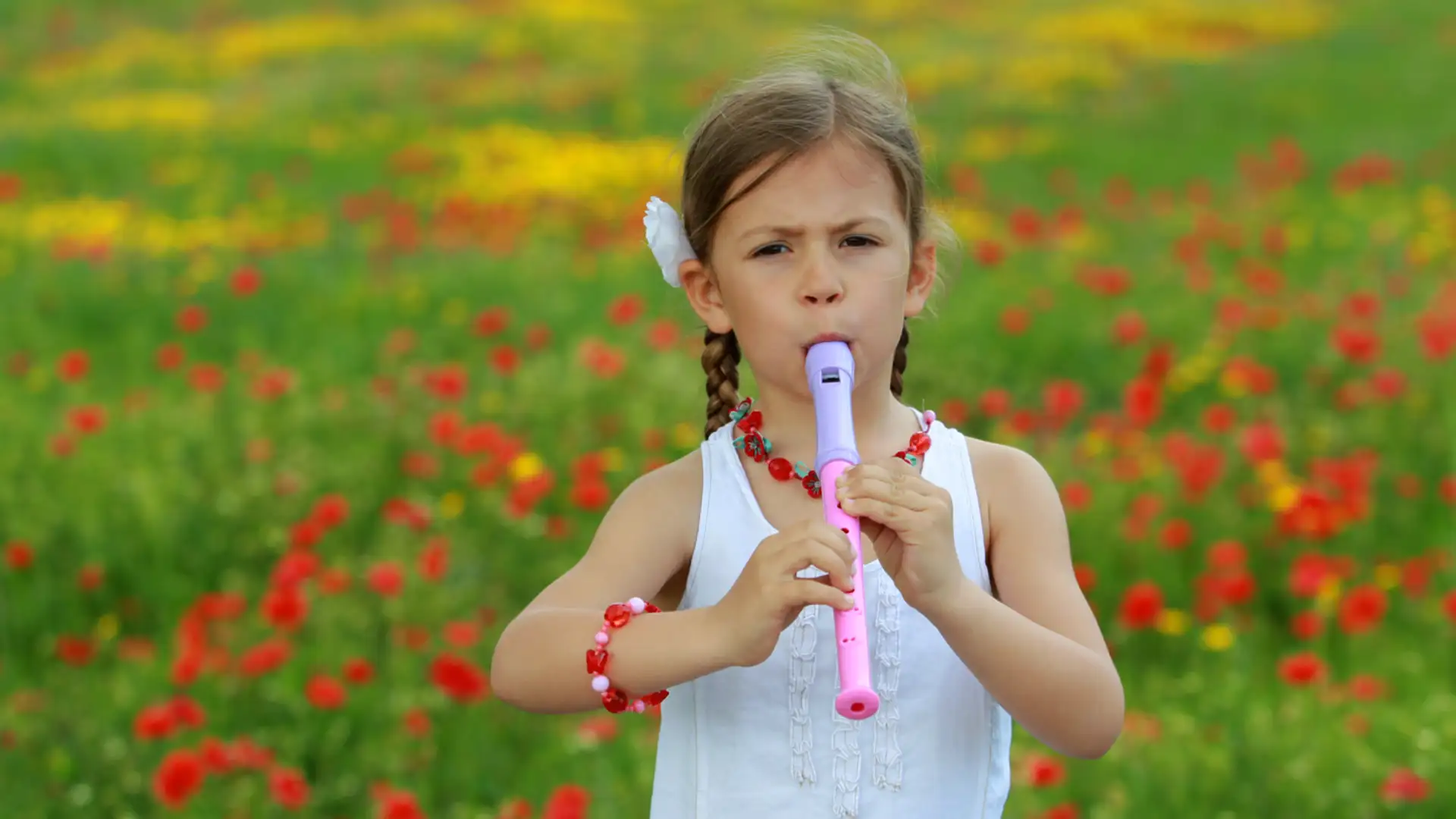 Fast Fashion, Sand Shortage, Recorder Lessons