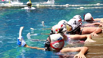 Underwater Hockey