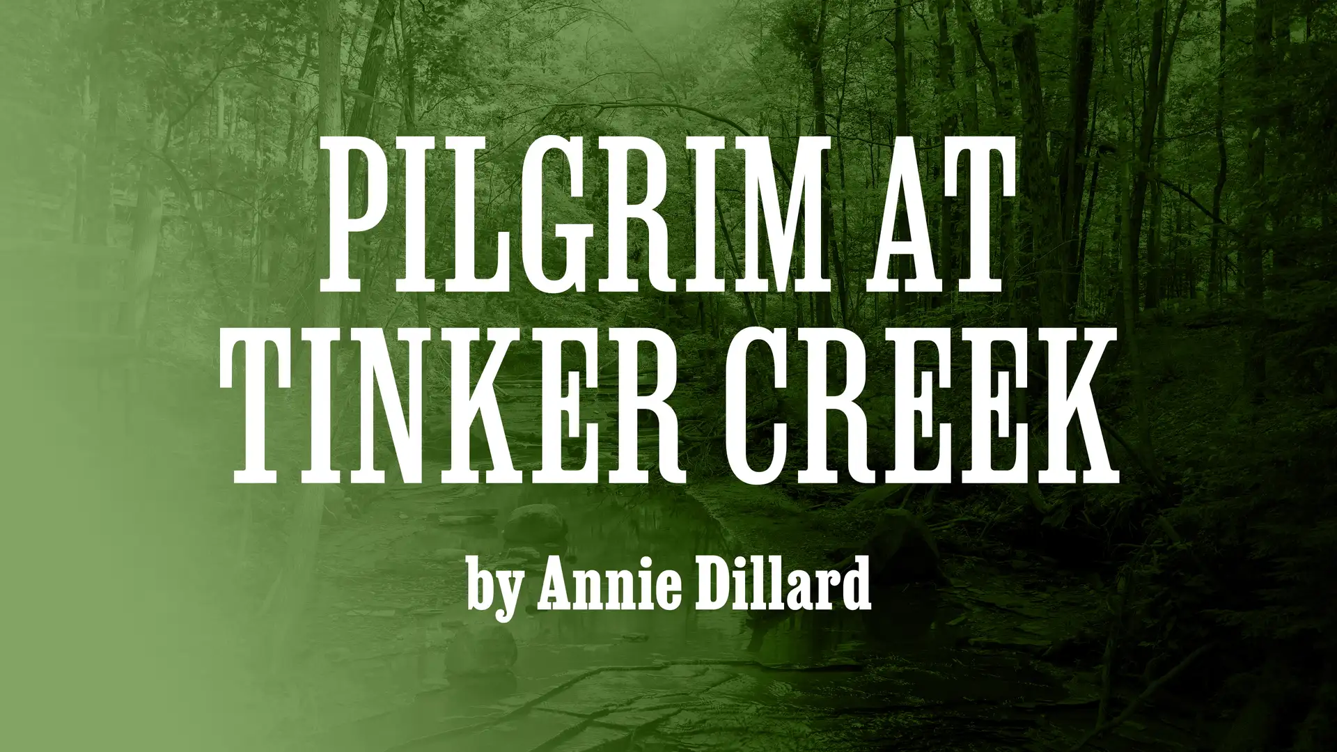 "Pilgrim at Tinker Creek" by Annie Dillard