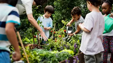 Our Earthly Stewardship