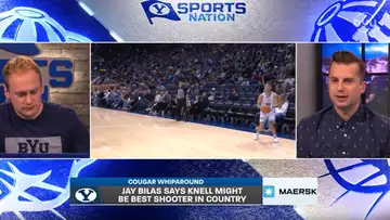 Cougar Whiparound 
