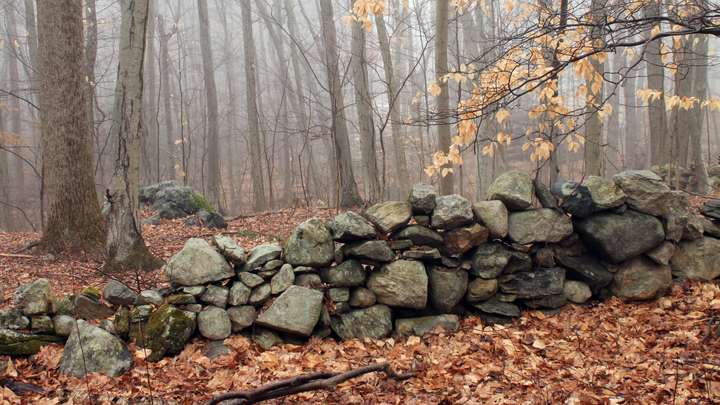 New England Stone Walls