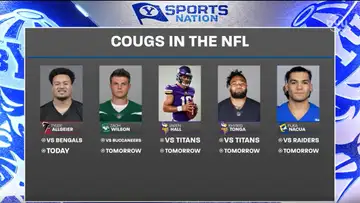 Cougar Whiparound 