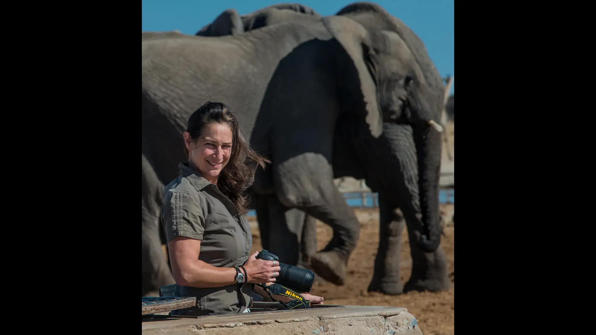 S3 E5: Elephants Hear With Their Feet – Infrasound, Part II