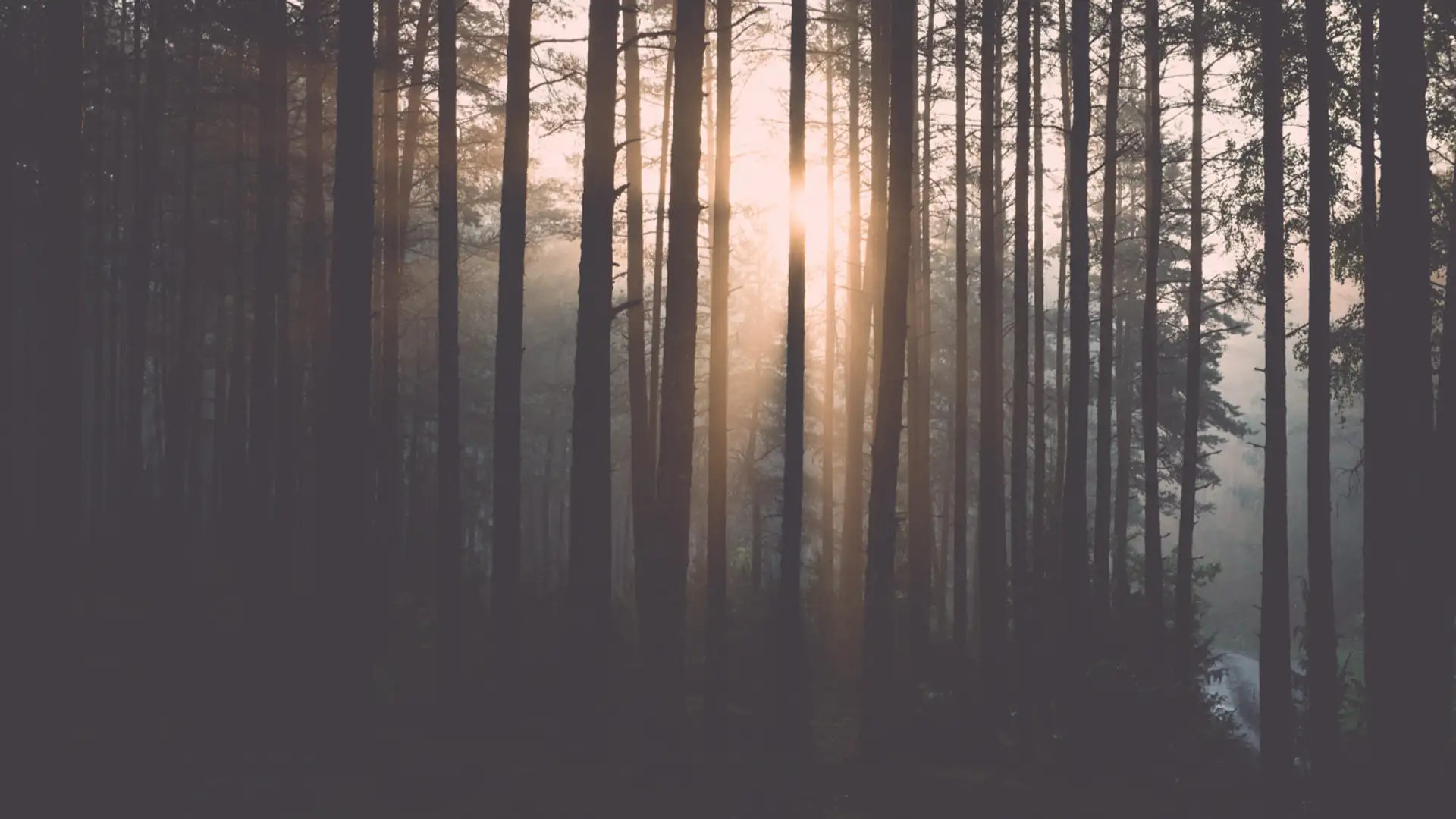 Readying Ourselves for Revelation