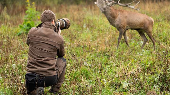 Photographer’s Intimate Portraits of 10,000 Species and Counting