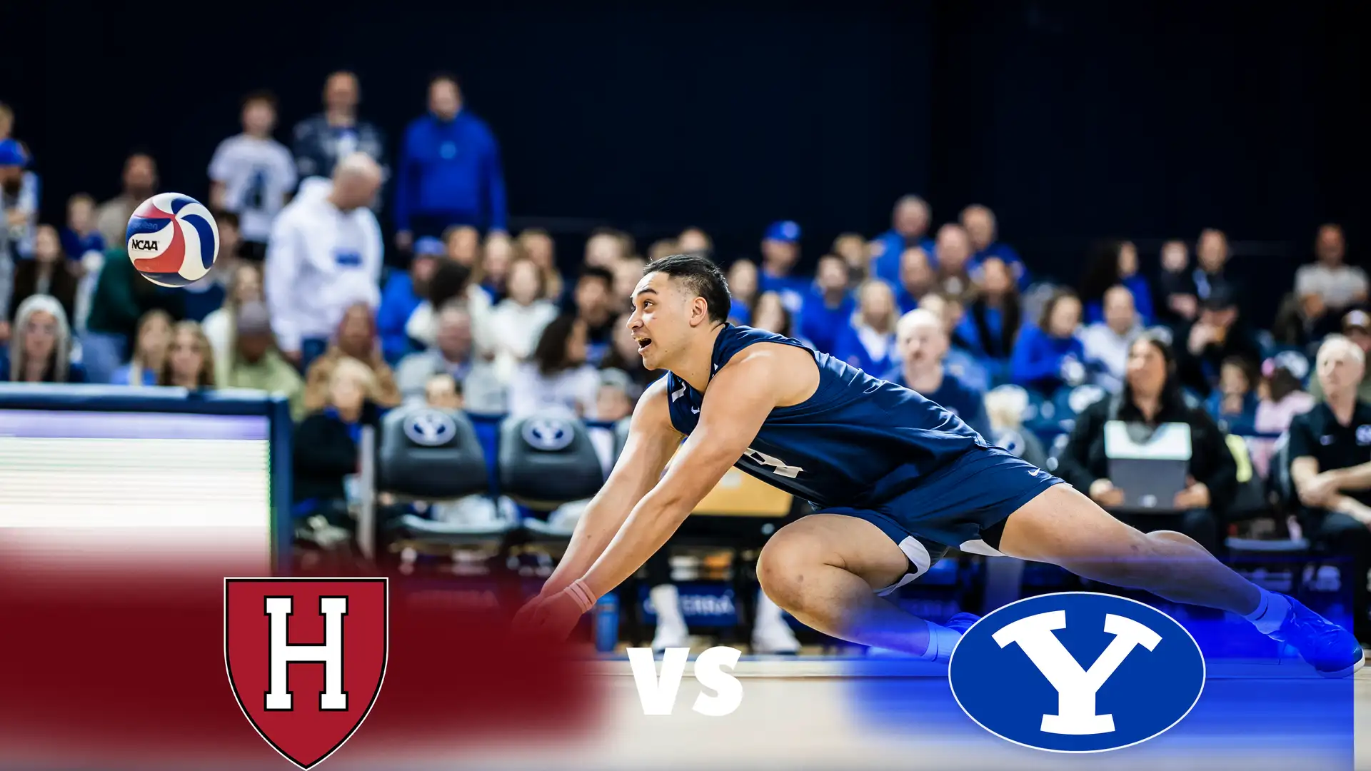 Harvard vs BYU