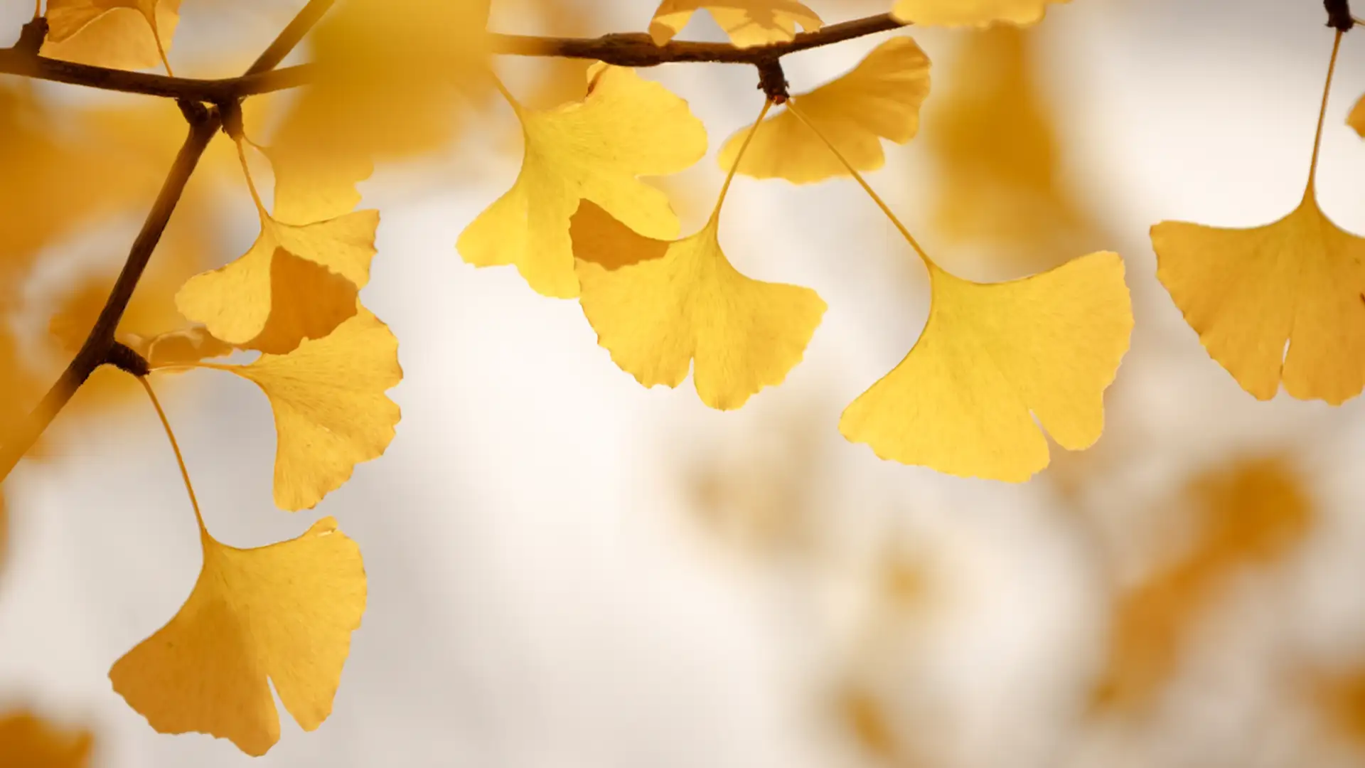 Trees That Aren't Programmed to Die