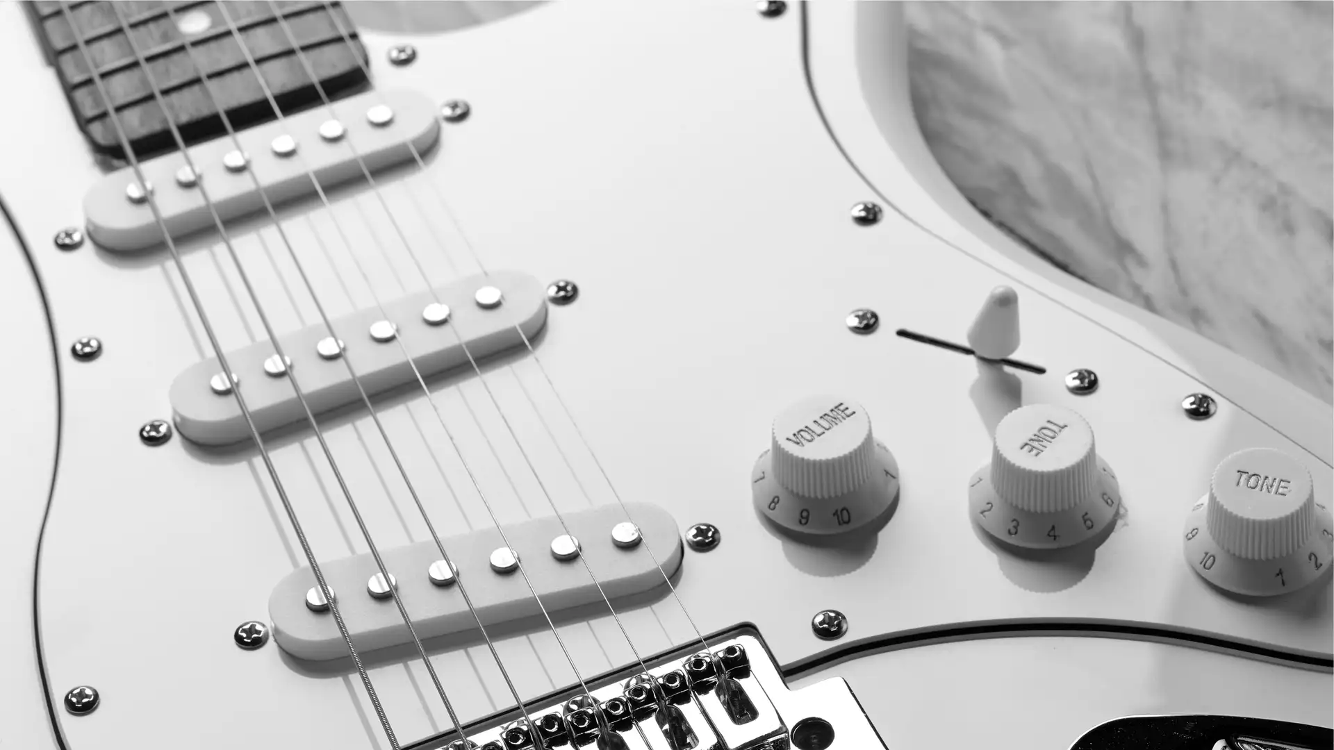 Harry and the Potters: Interview