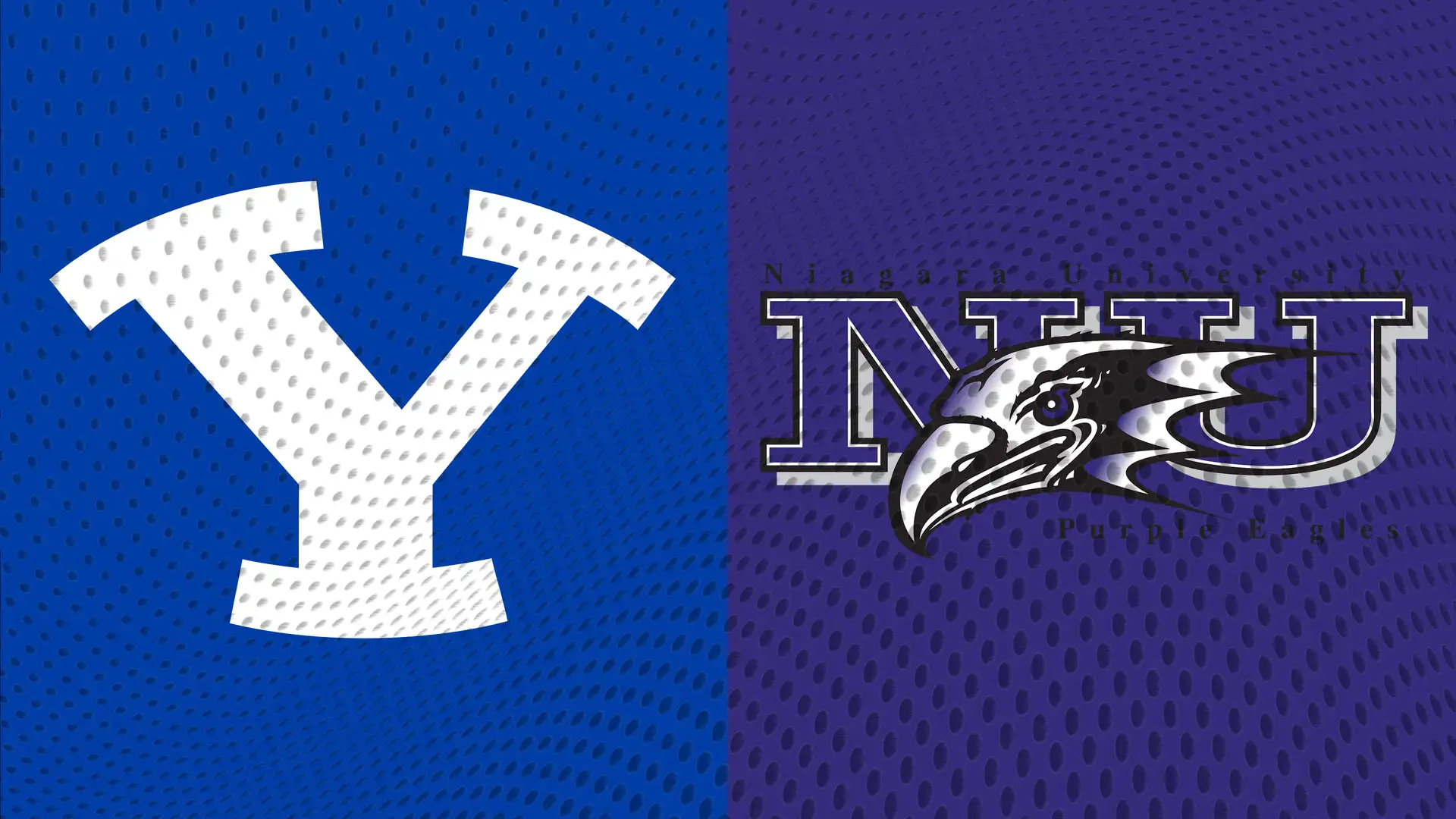 Niagara University vs. BYU (11-21-17)