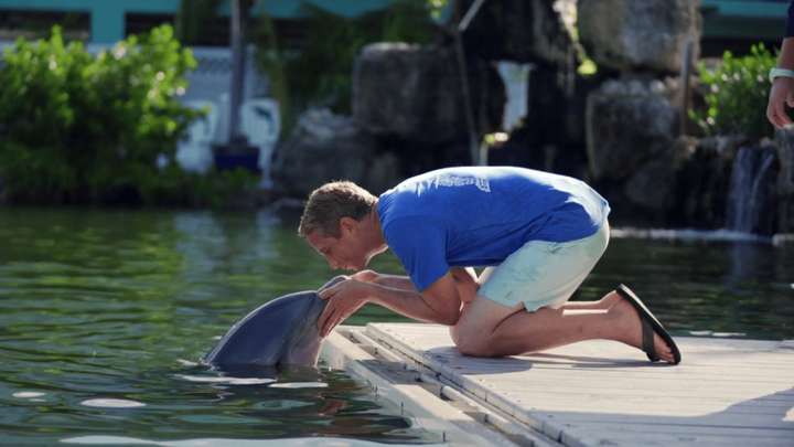 Island Dolphin Care