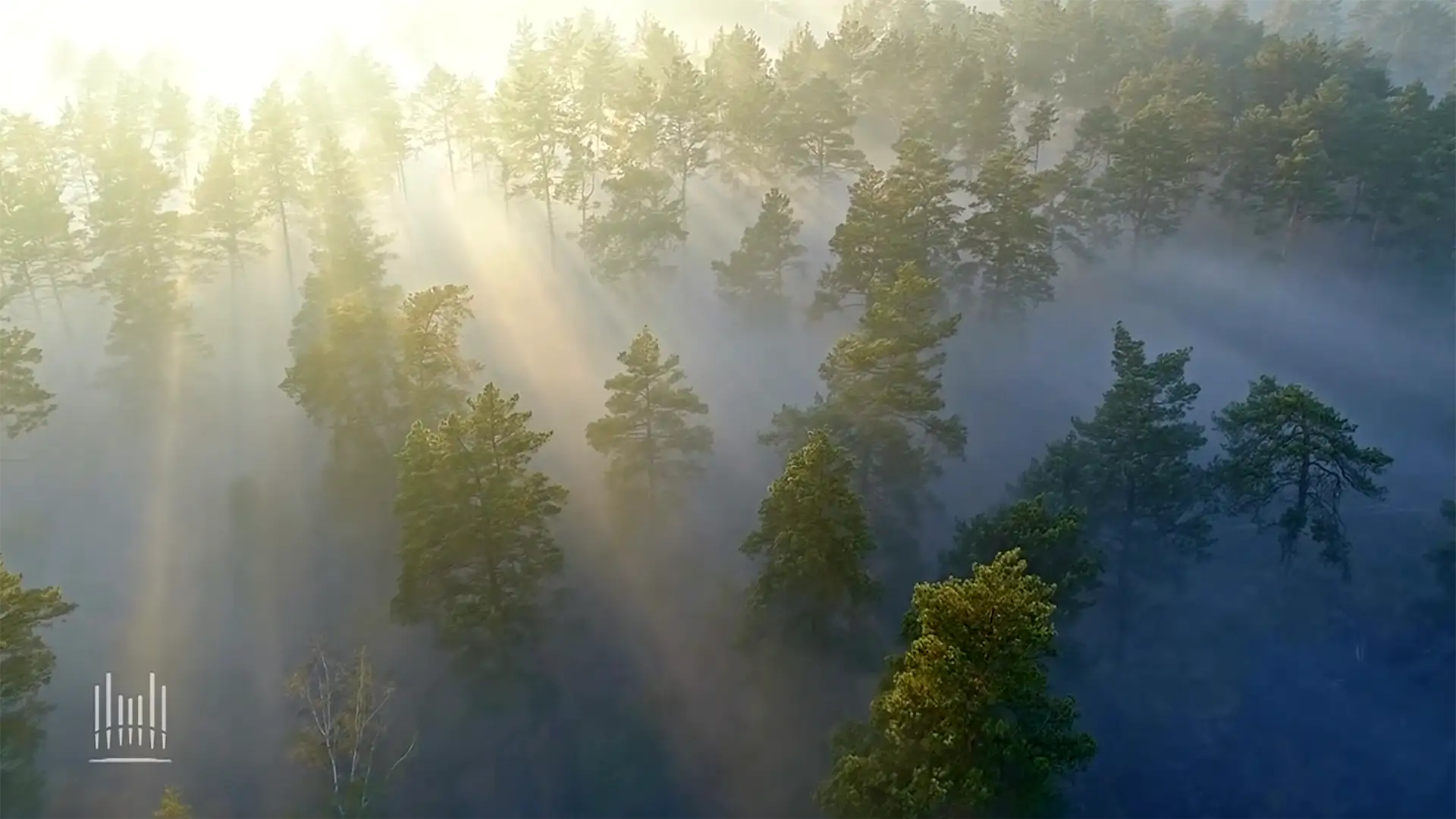 The Bitter and the Sweet