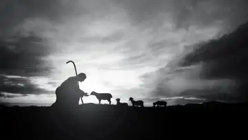 Simplicity in Christ