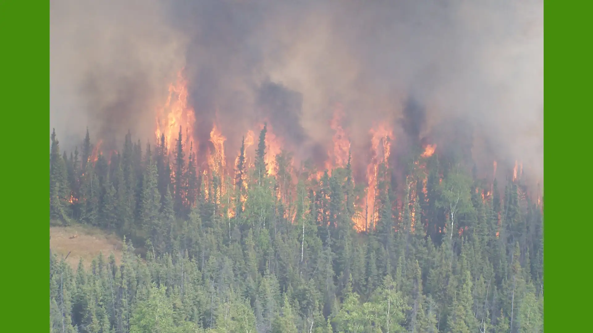 Politicizing the DOJ, Zombie Fires, New Alzheimer's Drug