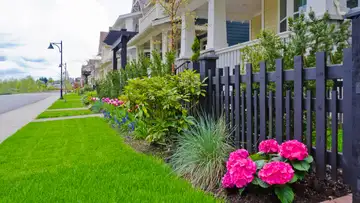 Lawn Culture