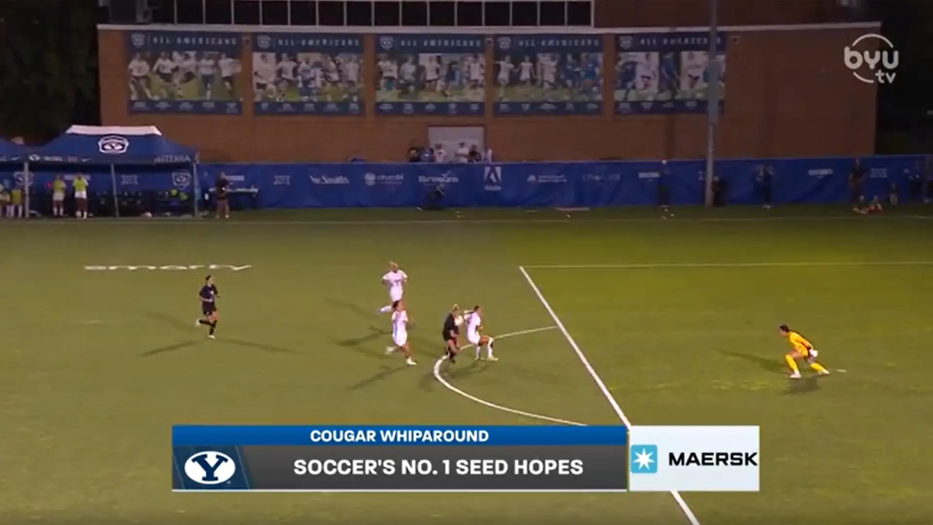 Cougar Whiparound 
