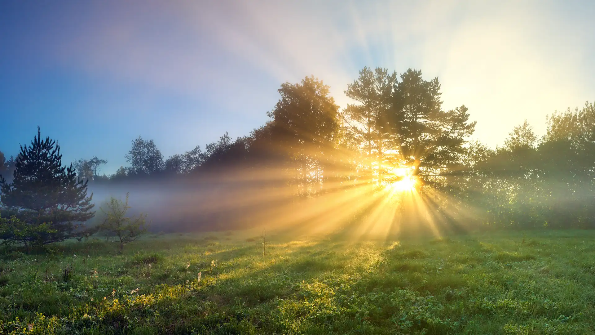 The Eternal Gift of Testimony