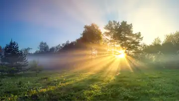 The Eternal Gift of Testimony