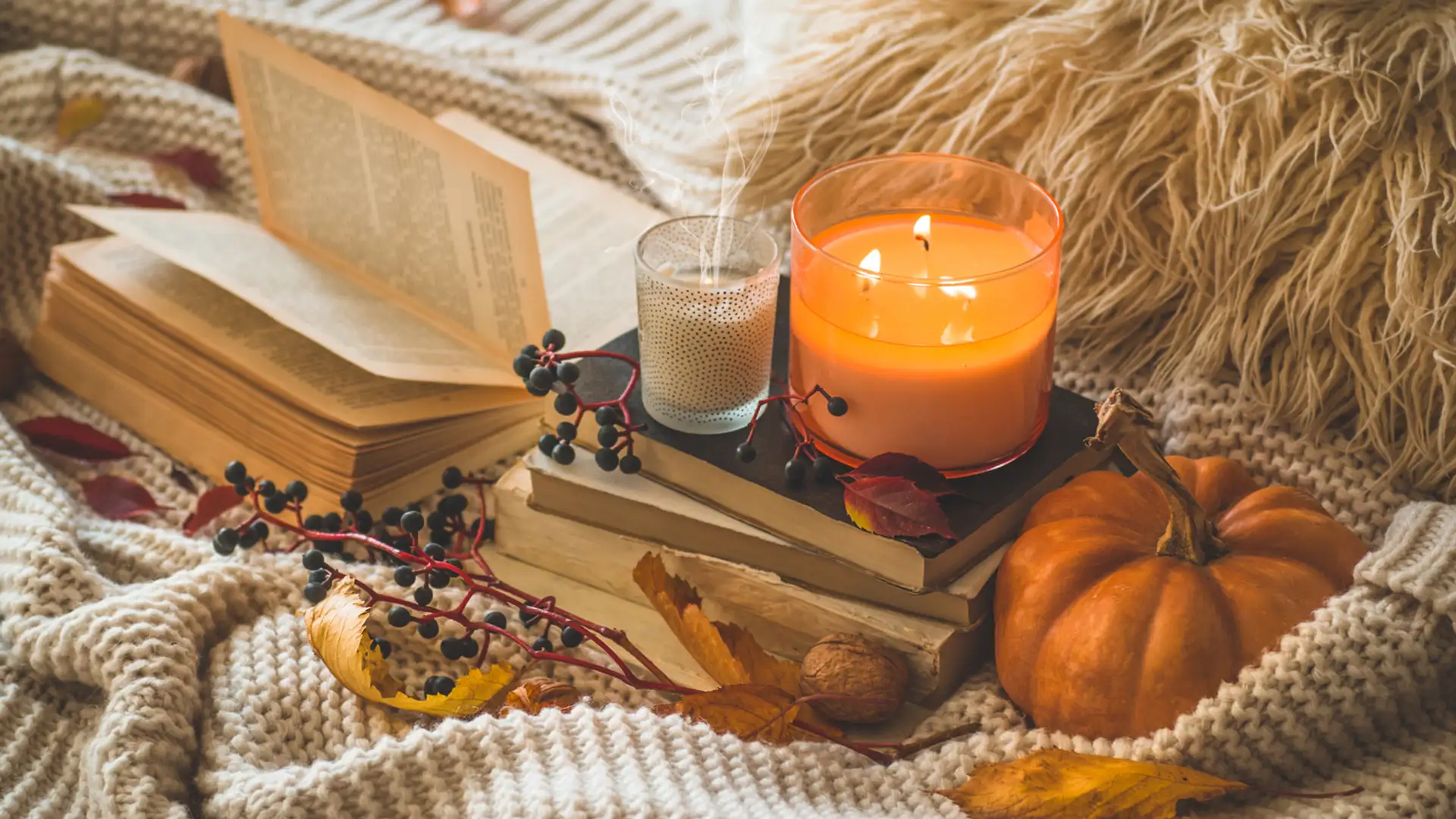 Mini Book Club: Fall Books