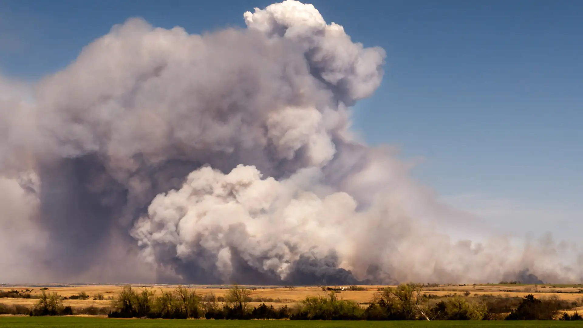 Wildfire Thunderclouds