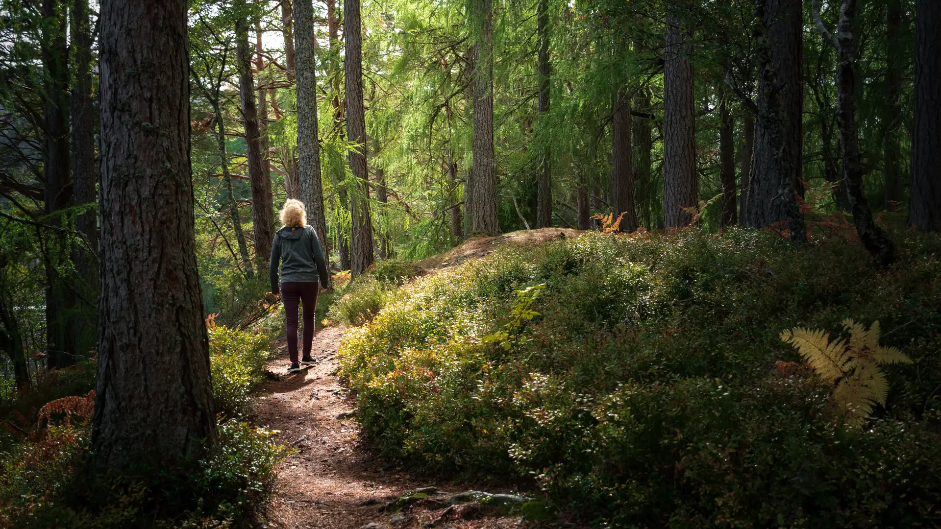 Know Who You Really Are