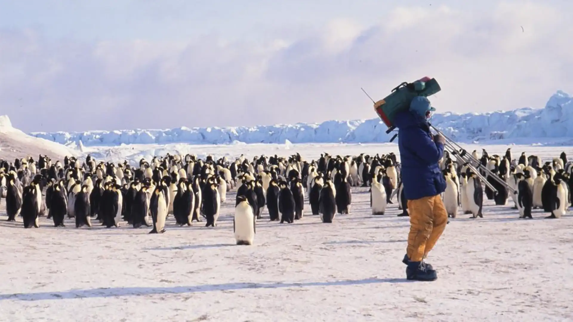 Adventures in the Antarctic
