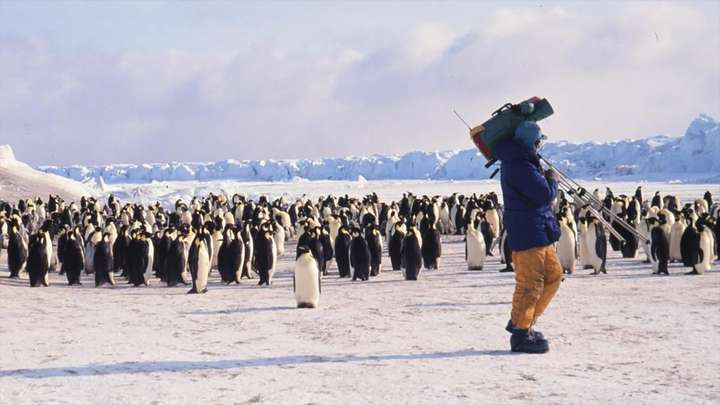 Adventures in the Antarctic