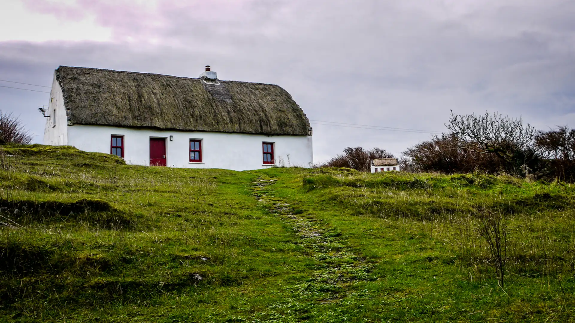 EXTRA: "The House on the Hill" by Heather Forest