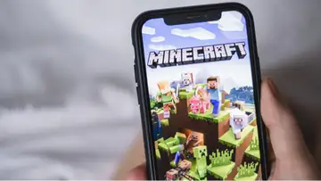Minecraft Concert