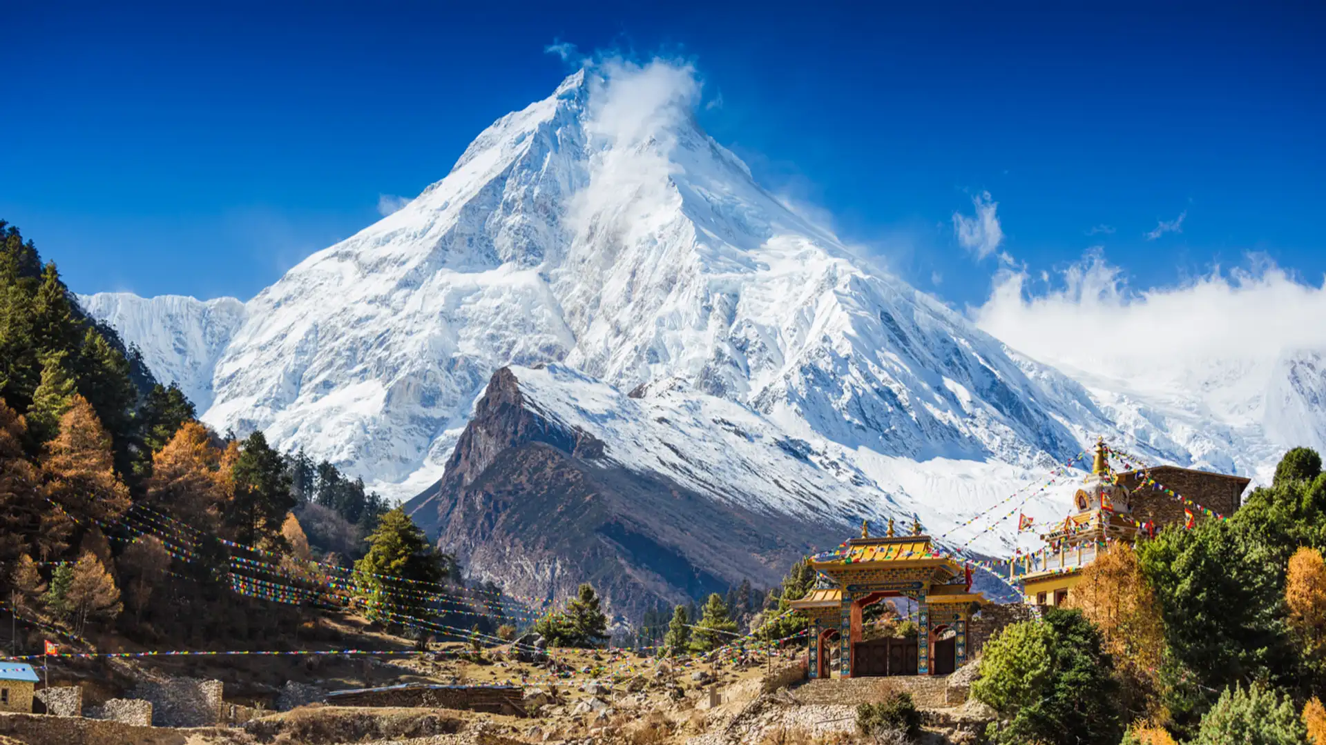 Himalaya History
