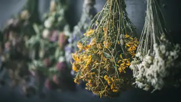 Myths About Medieval Medicine
