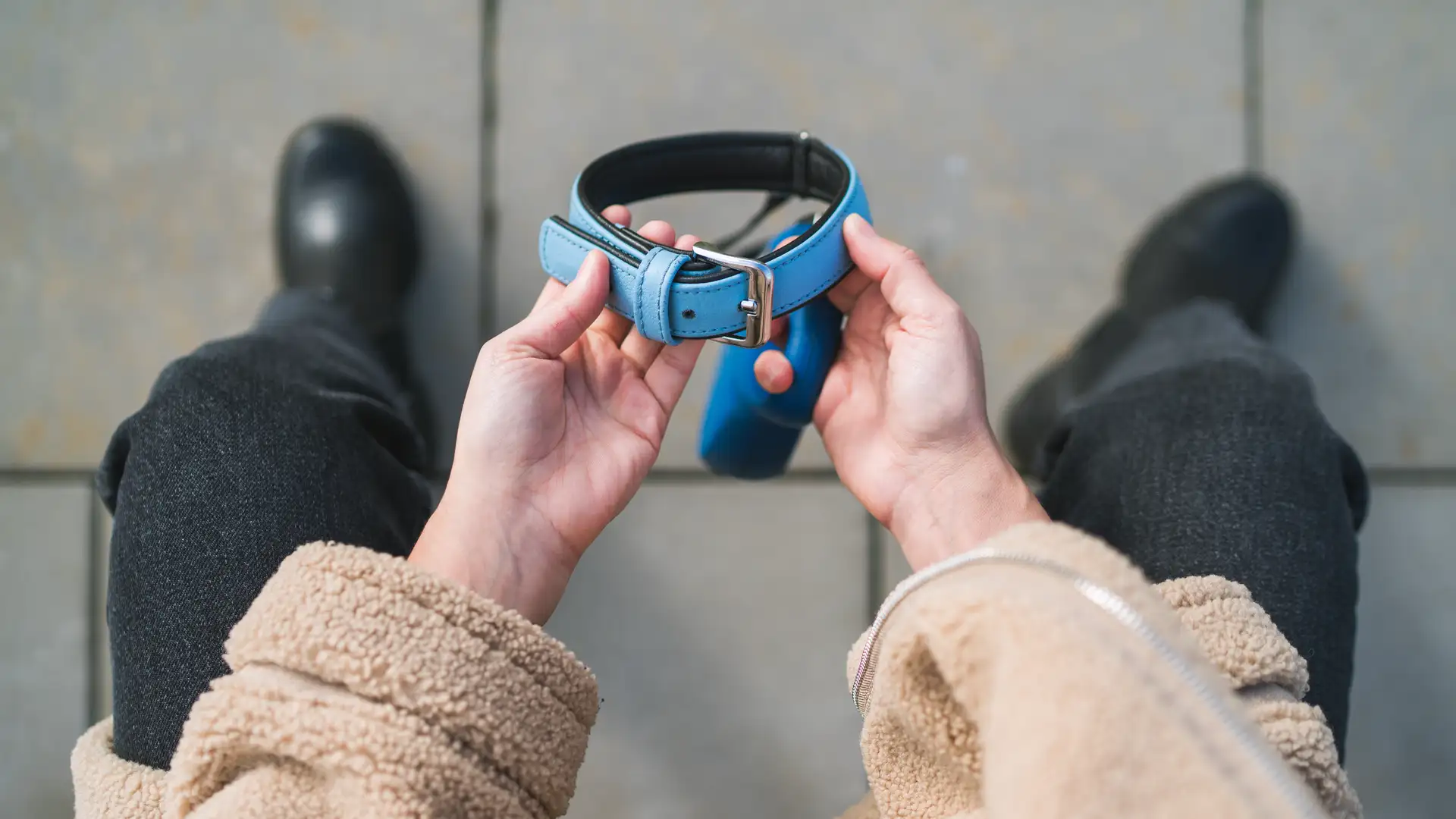 Why We Mourn Animals