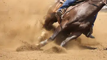 Bronc Ridin' Shuffle by Paul Bliss