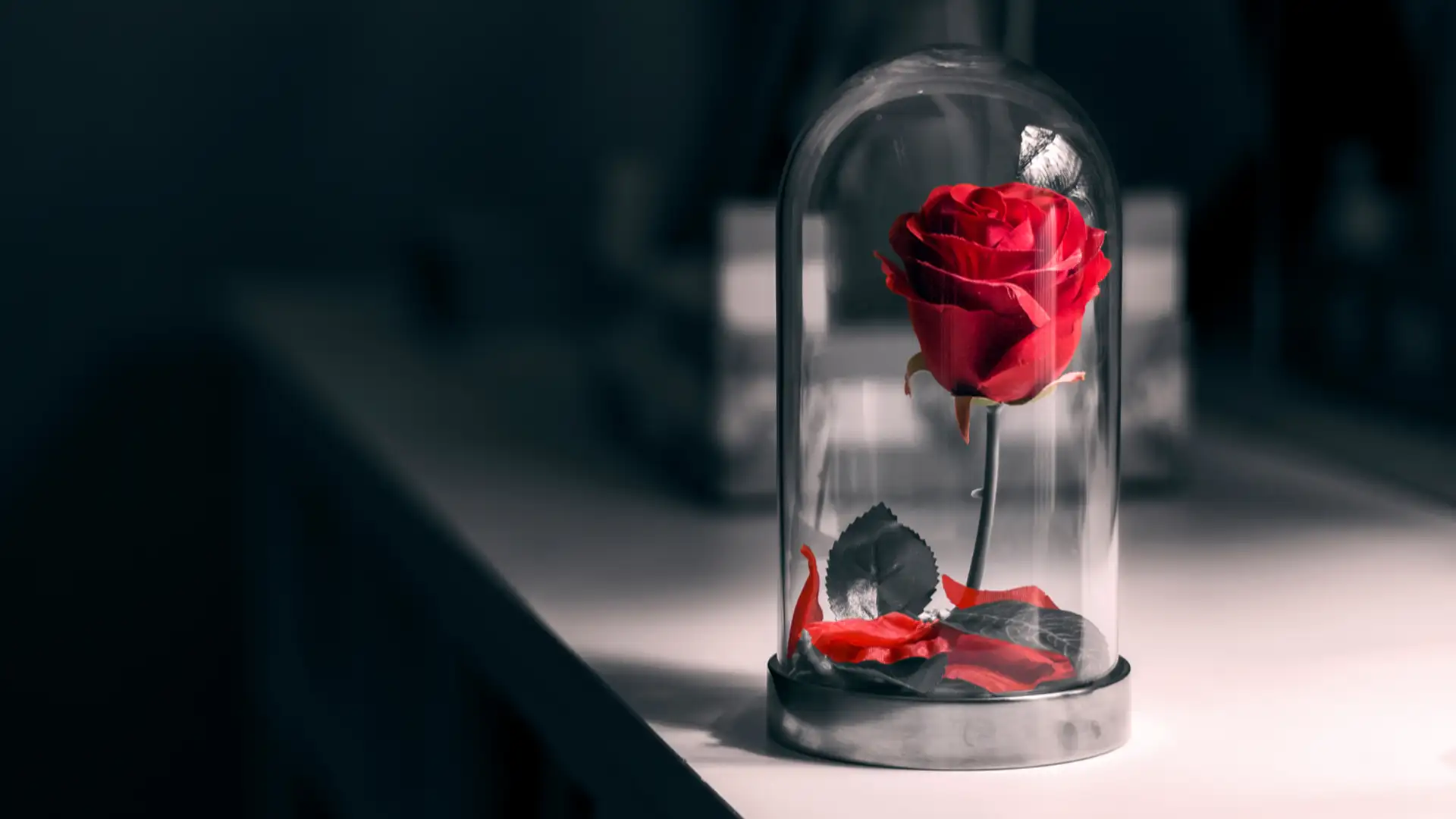 The Beauty and the Melamed