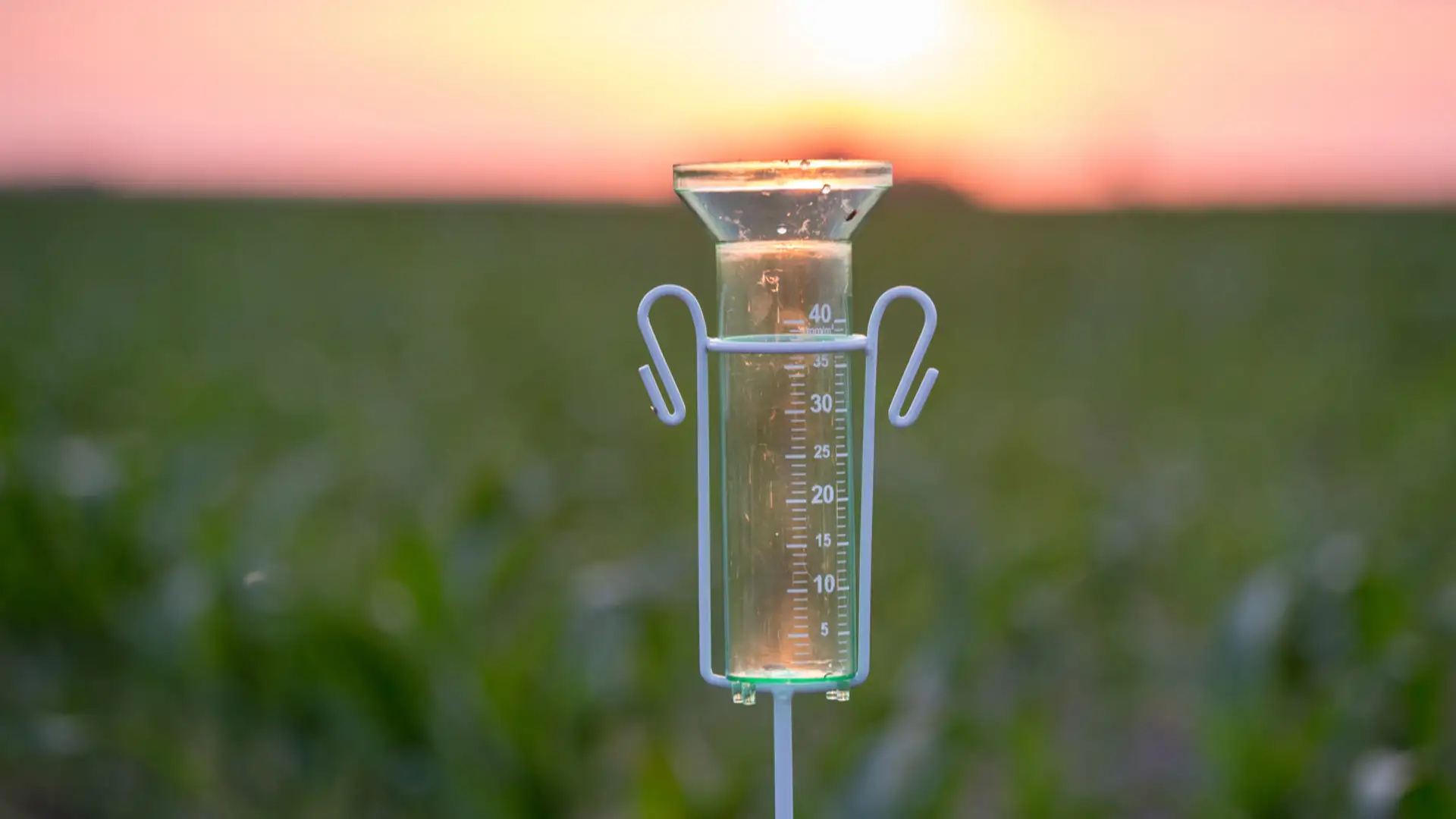 EXTRA **** "Rain Gauge" by Michael Reno Harrell