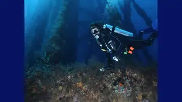 Abandoned Oil Rigs Provide Habitats for Coral Reefs and Endangered Species