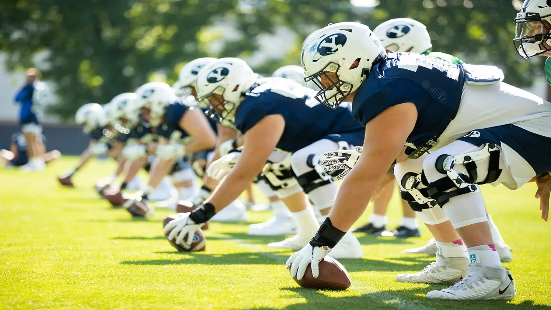 The University of South Florida