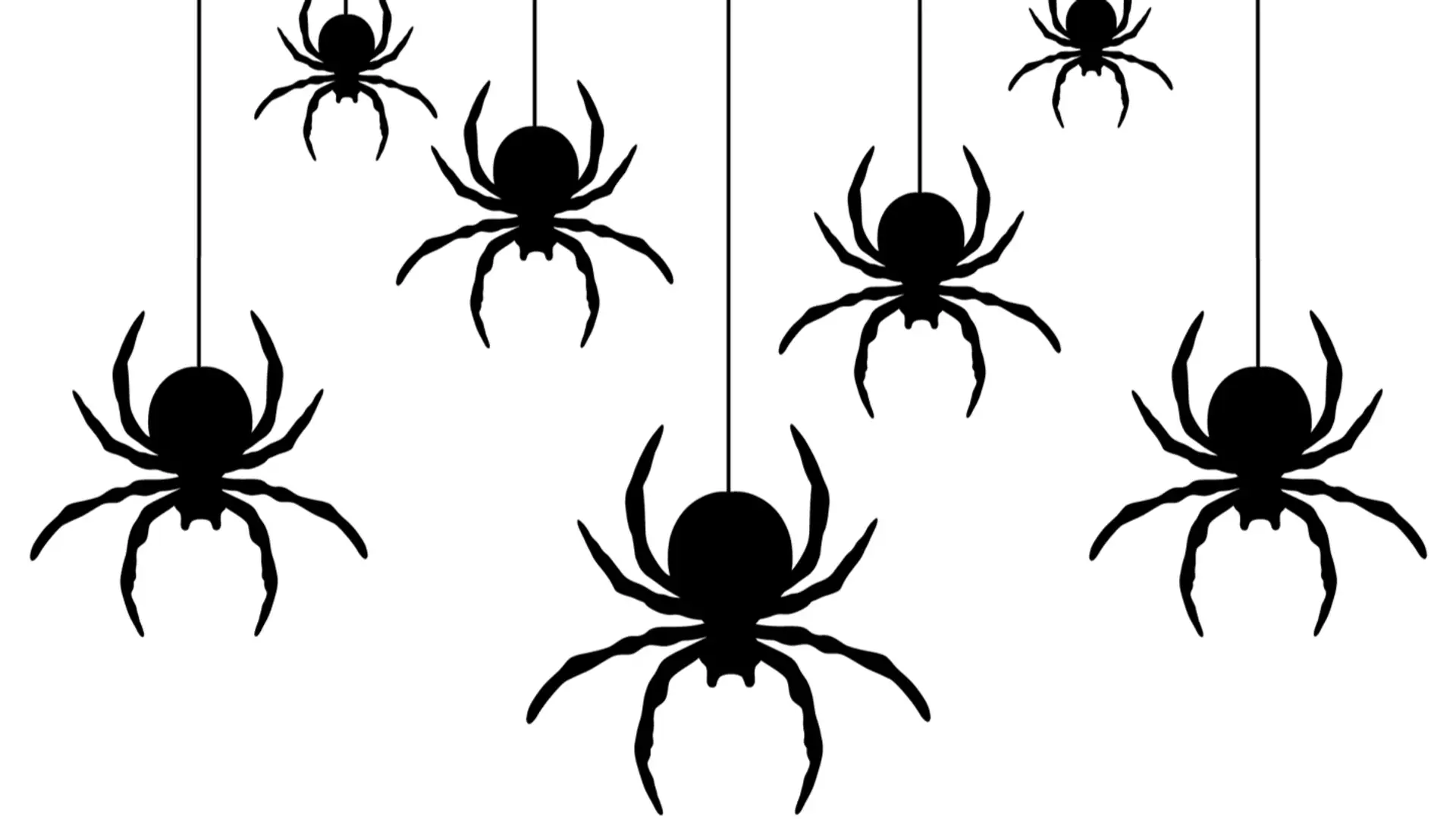 Why Creepy Crawlies Creep Us Out