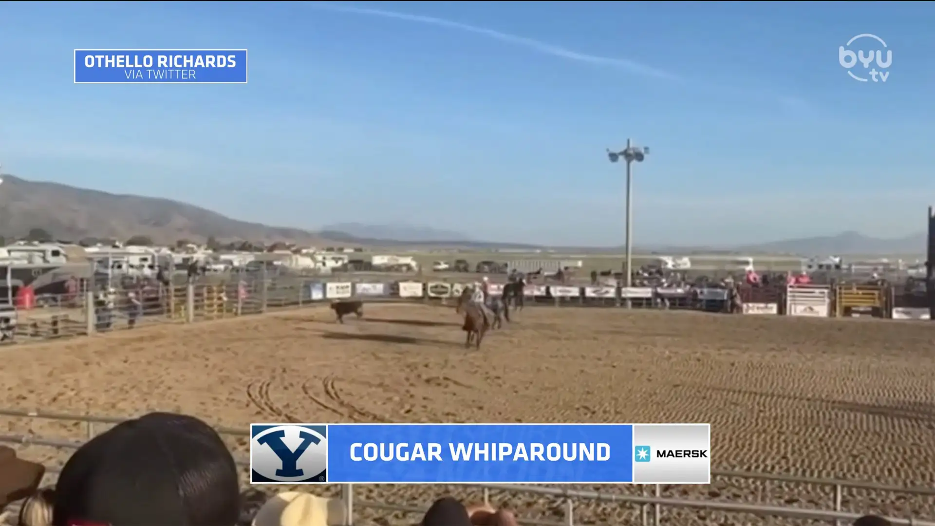 Cougar Whiparound