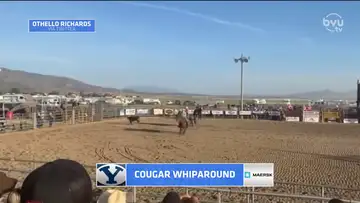 Cougar Whiparound 