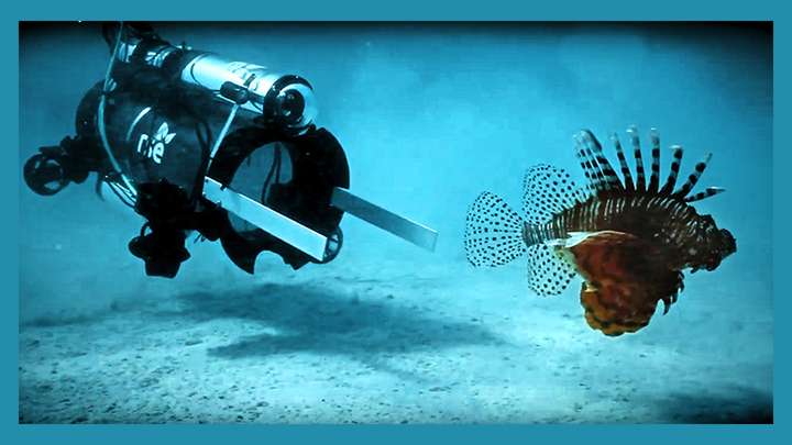 Underwater Vacuum Robots