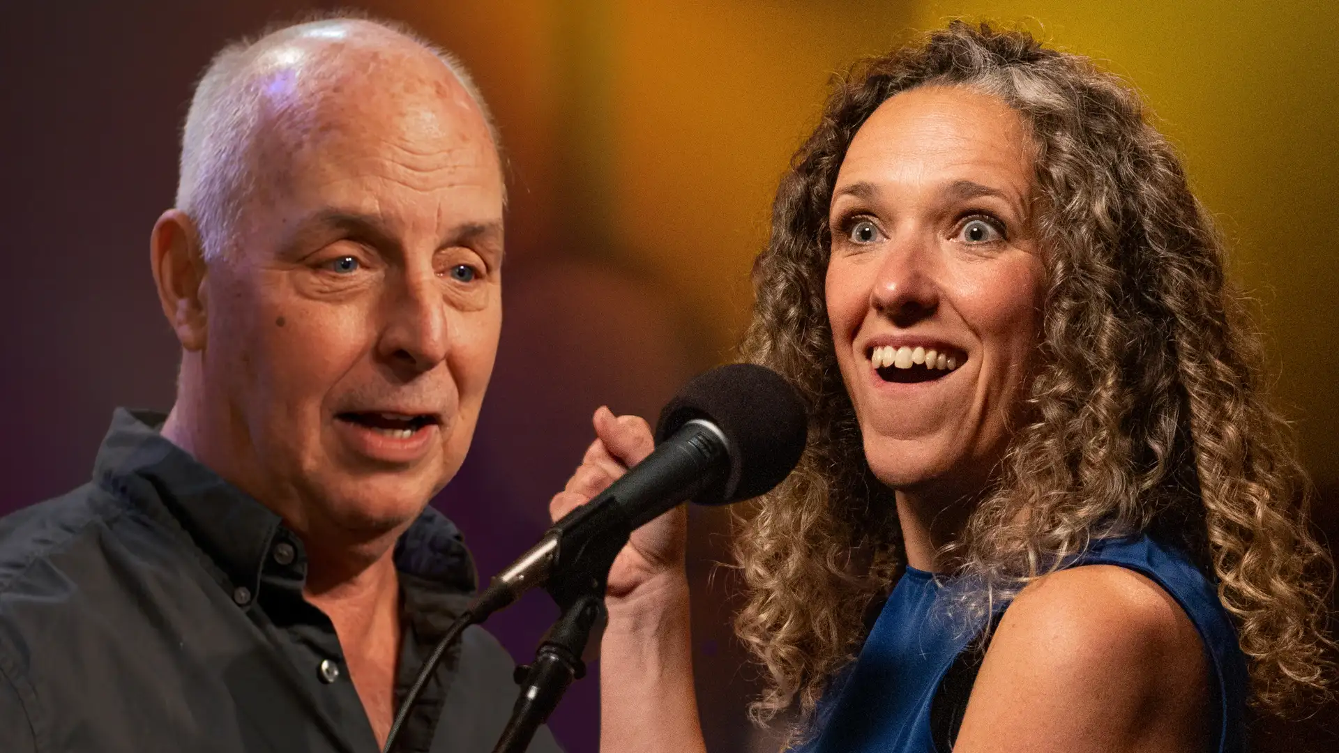 The Pursuit of Happiness- Stories for the Whole Family by Bill Harley and Debs Newbold