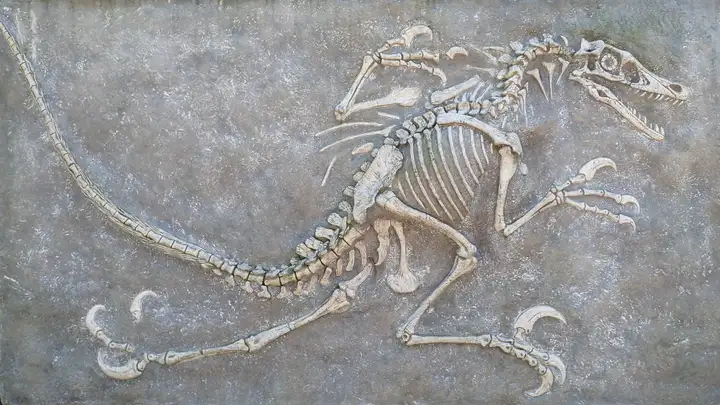 From catastrophic asteroids to terminal constipation, how did the dinosaurs get wiped out?